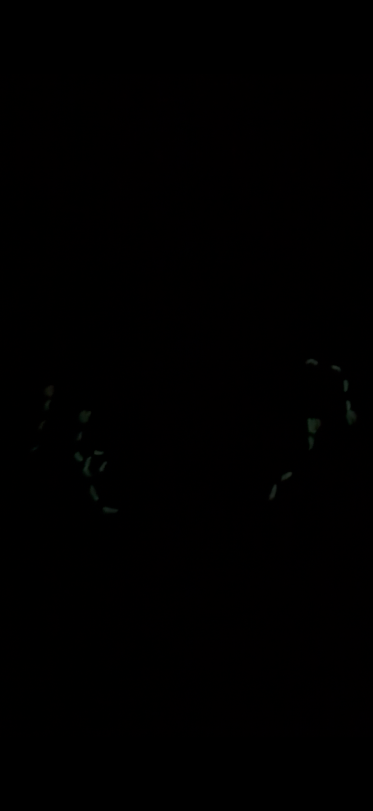 Enchanted Forest: Raccoon and Fireflies