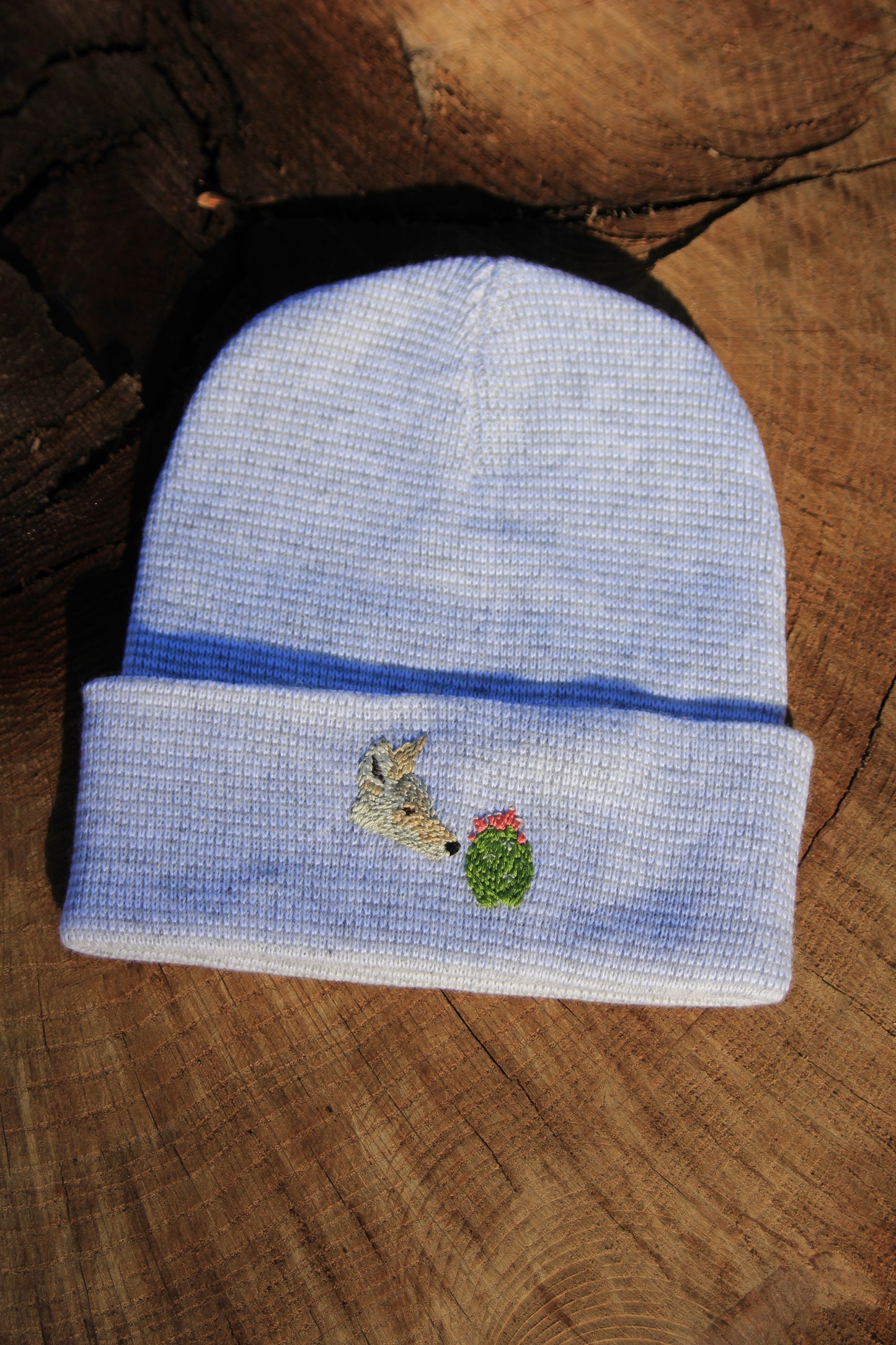 Coyote and Prickly Pear Cactus