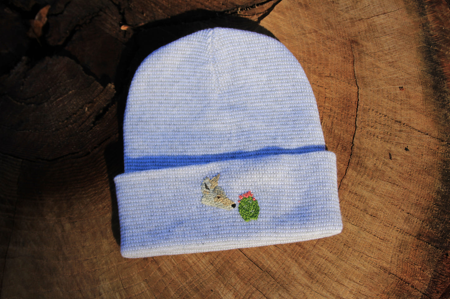 Coyote and Prickly Pear Cactus