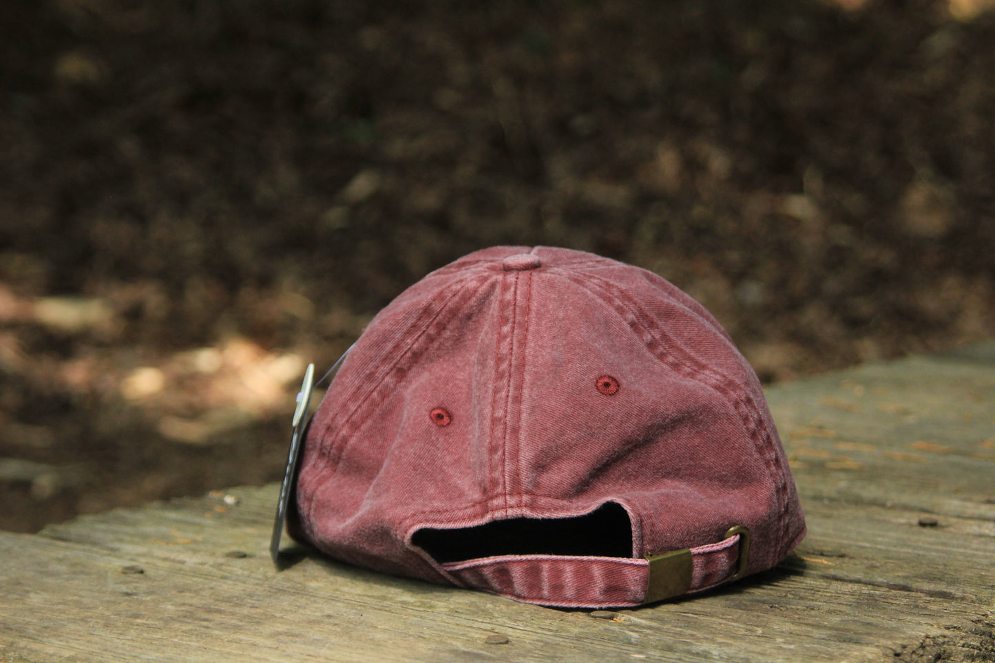 Black Bear Scenic Species