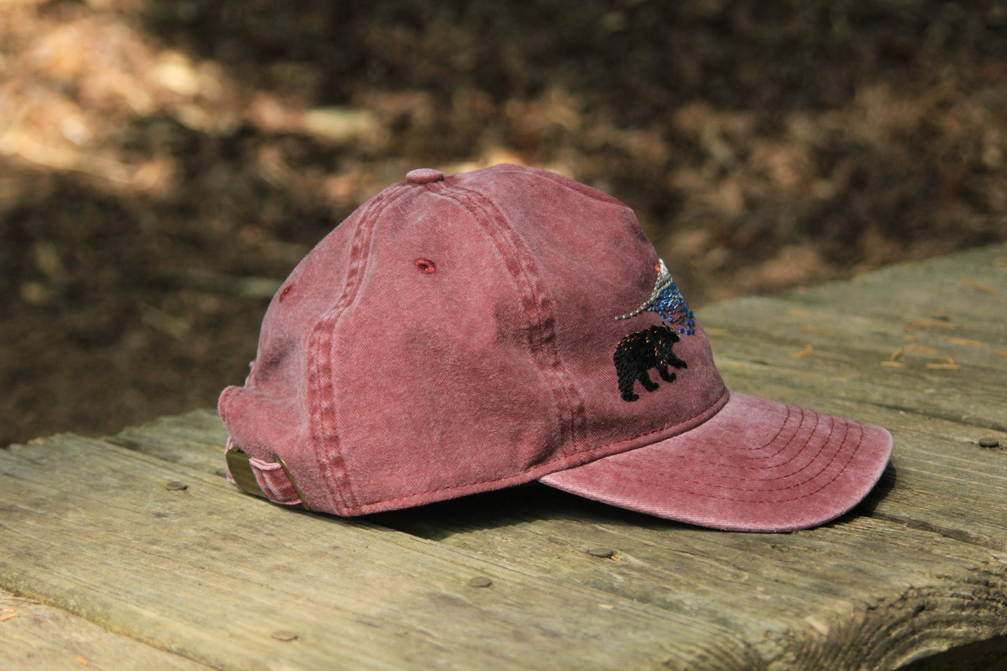 Black Bear Scenic Species