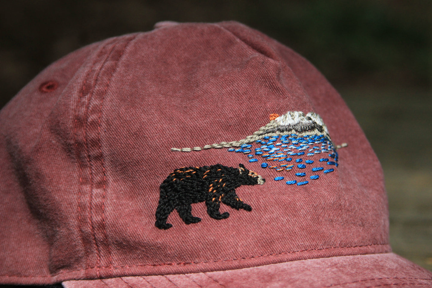 Black Bear Scenic Species