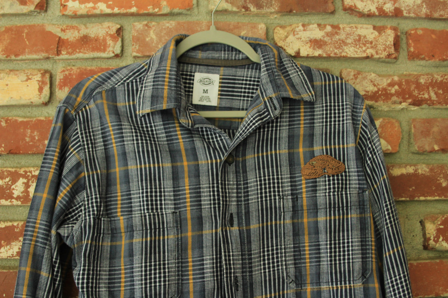 Medium Dekay’s Brown