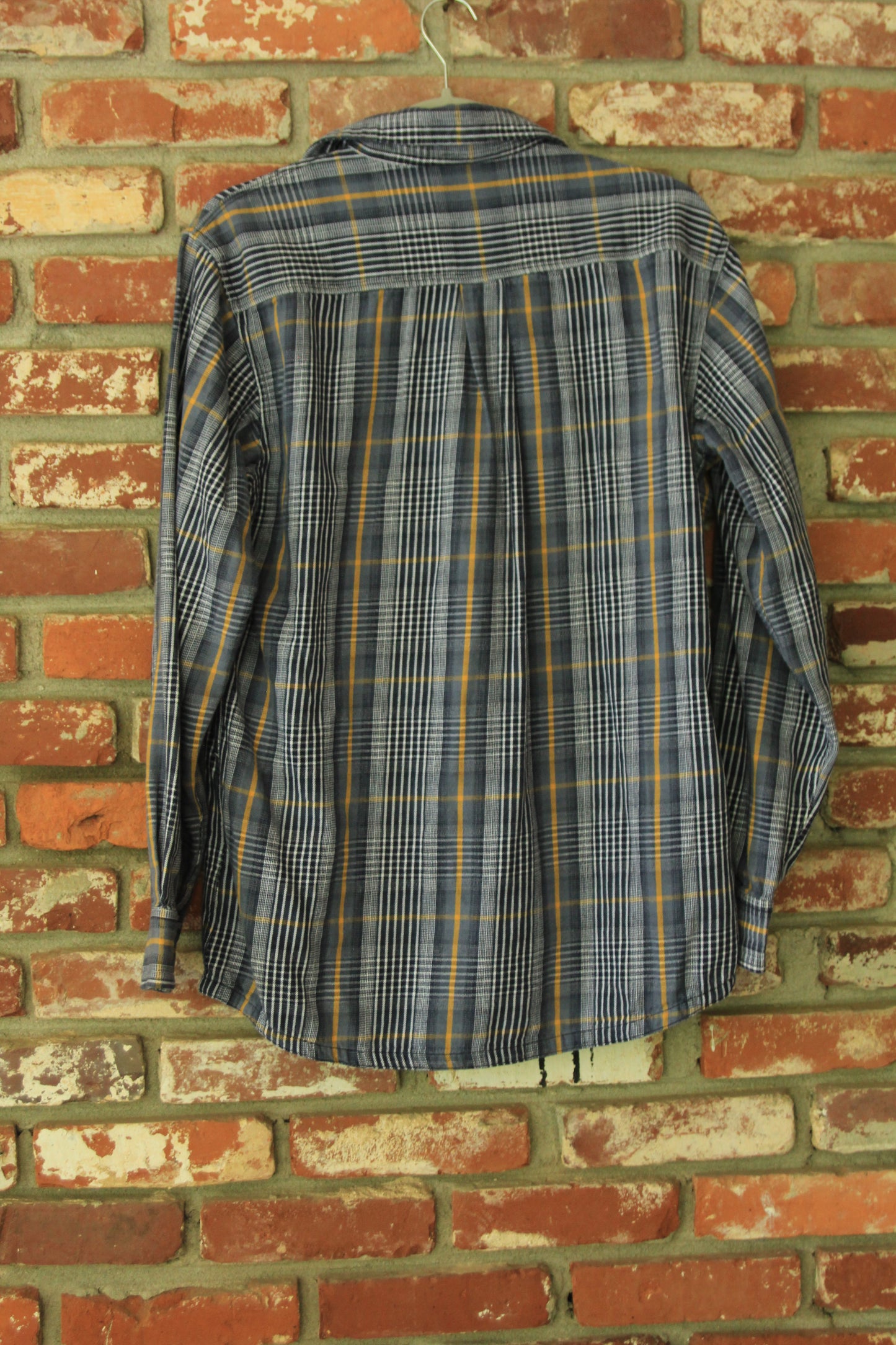 Medium Dekay’s Brown