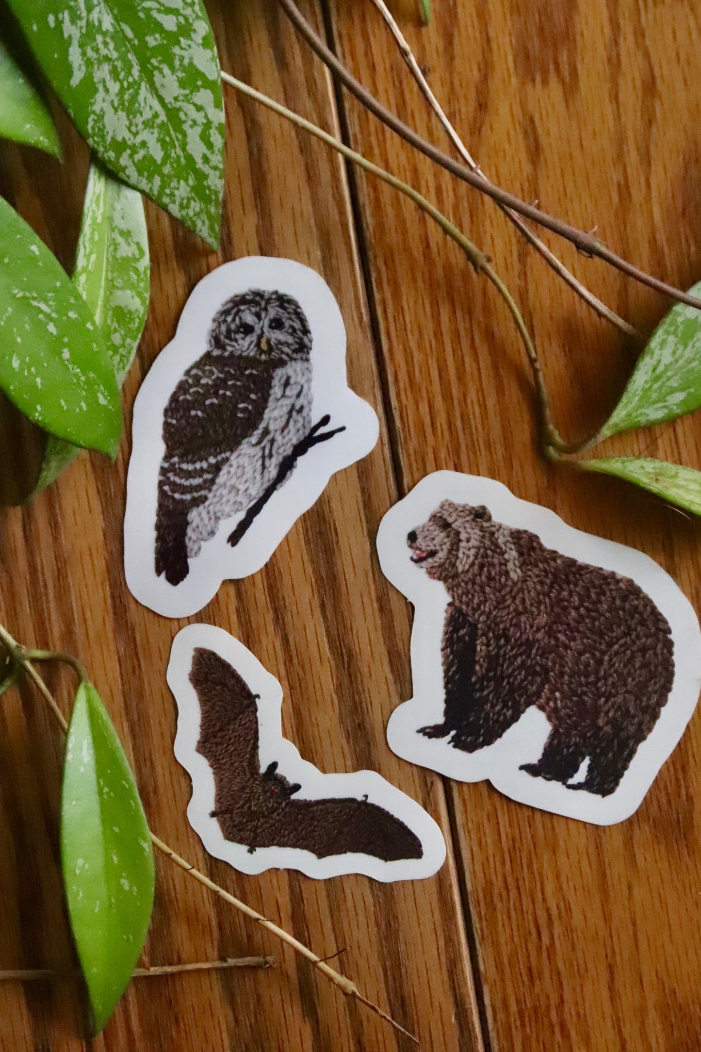 Grizzly Bear Sticker