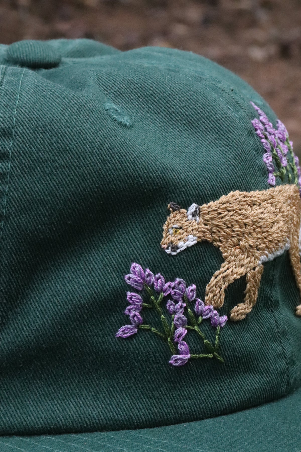 Somewhere in the Rockies: Mountain Lion and Lupine