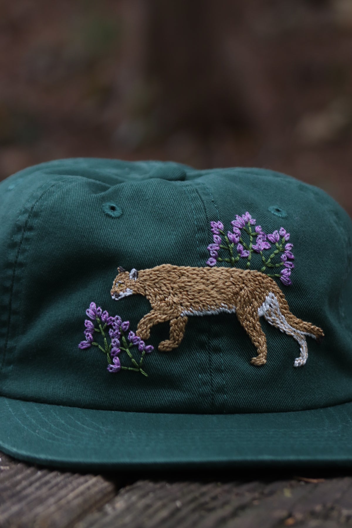 Somewhere in the Rockies: Mountain Lion and Lupine