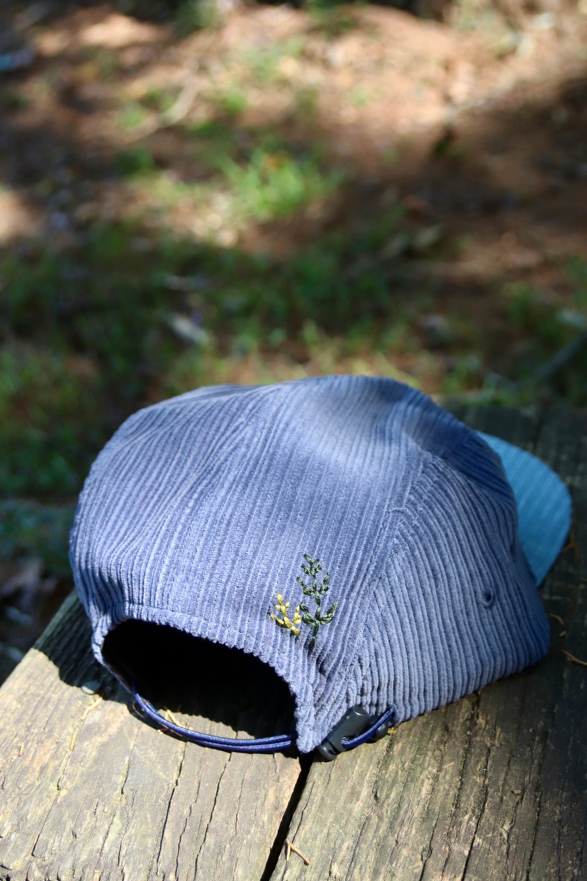 Enchanted Forest: Raccoon and Fireflies
