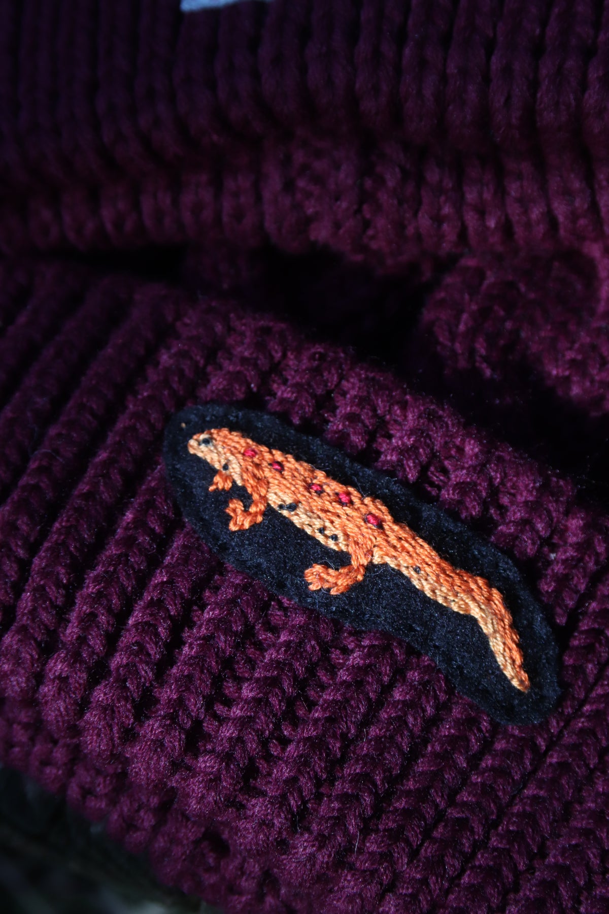 Enchanted Forest: Eastern Newt