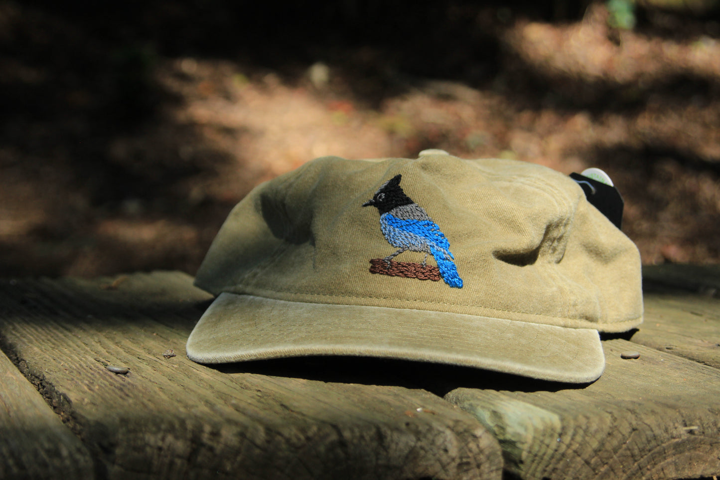 Stellar Jay Hat