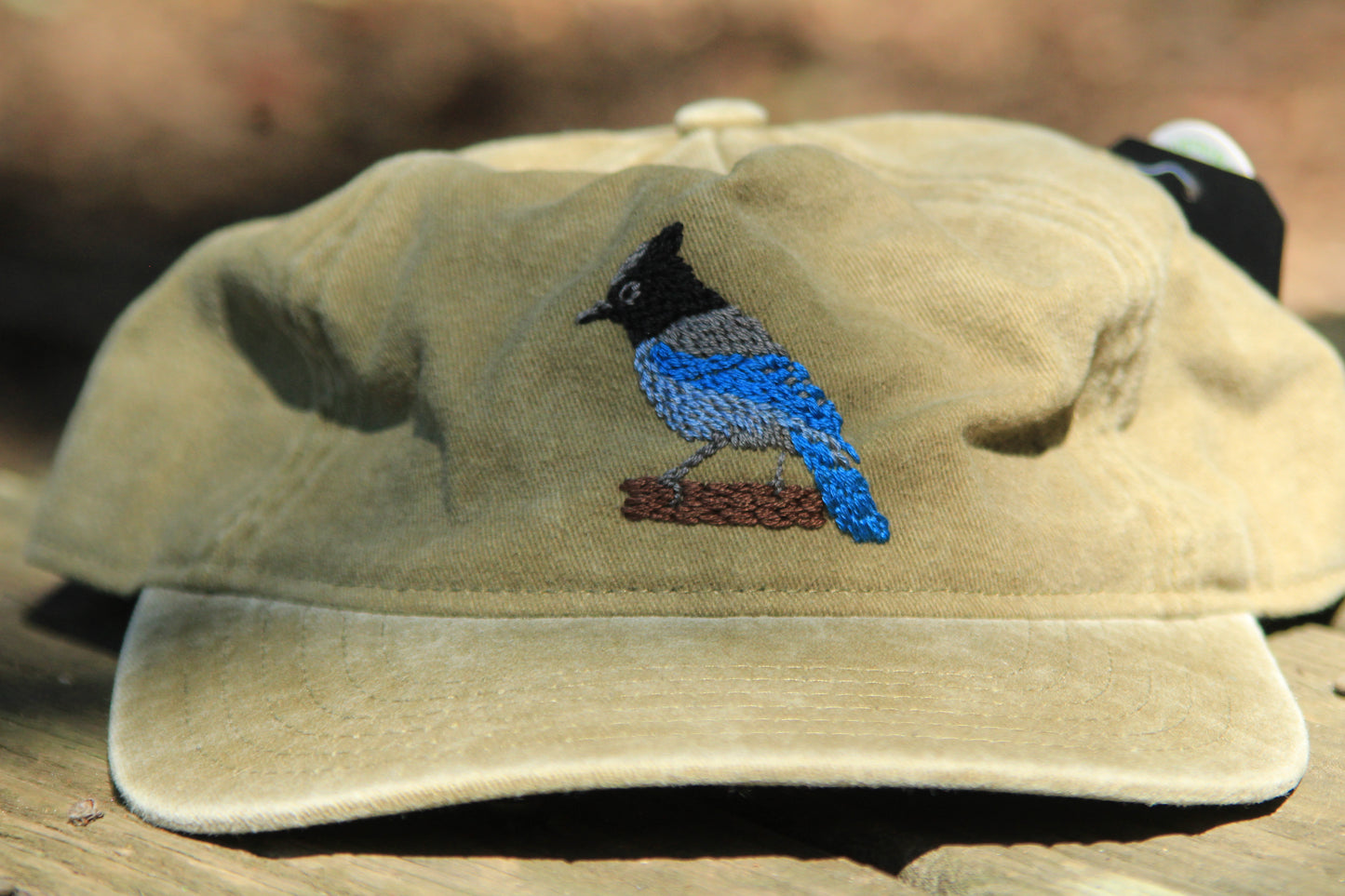 Stellar Jay Hat