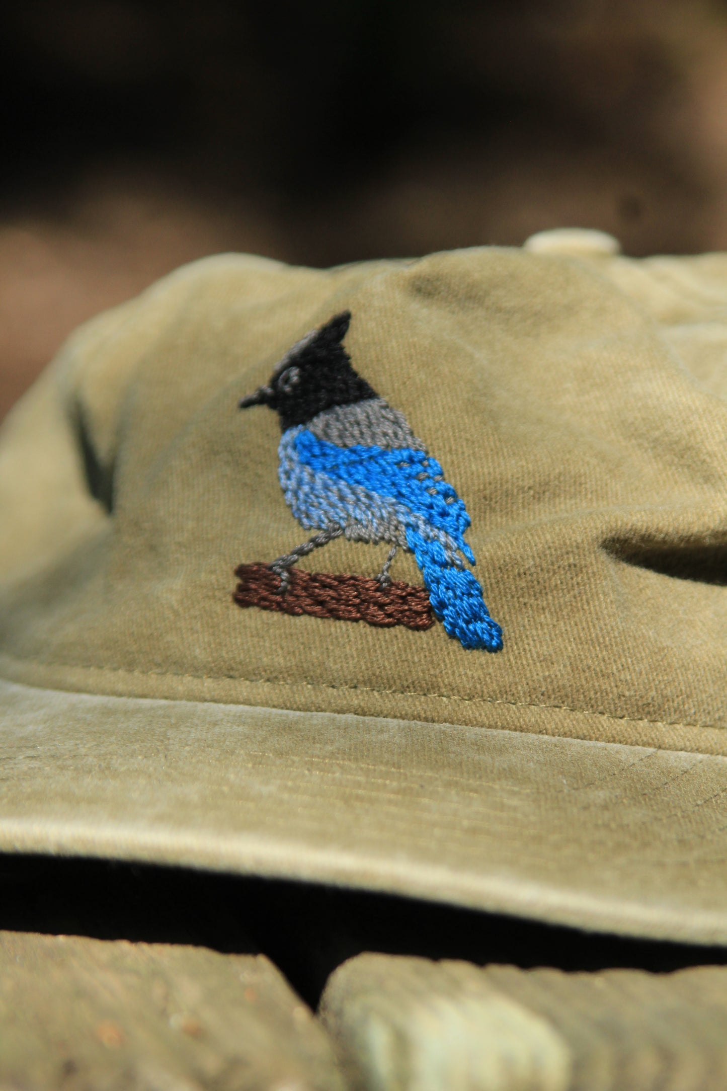 Stellar Jay Hat