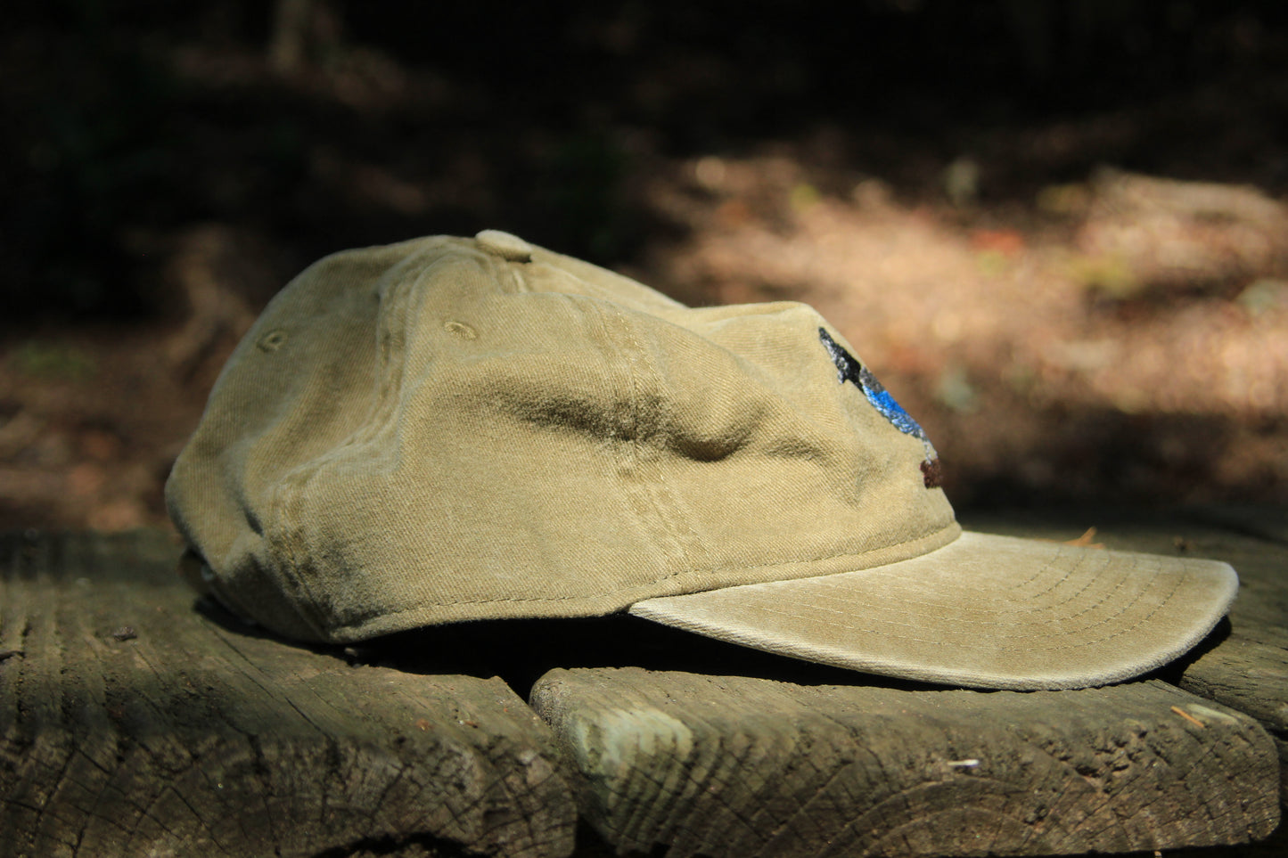 Stellar Jay Hat