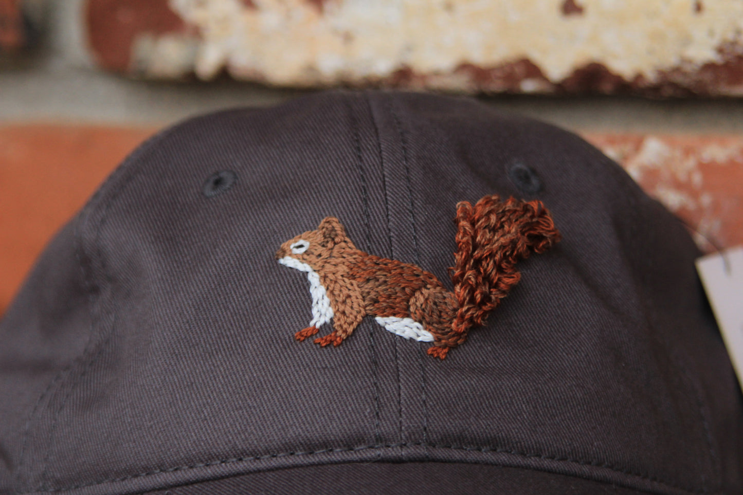 Red Squirrel Dad Hat (Slate)