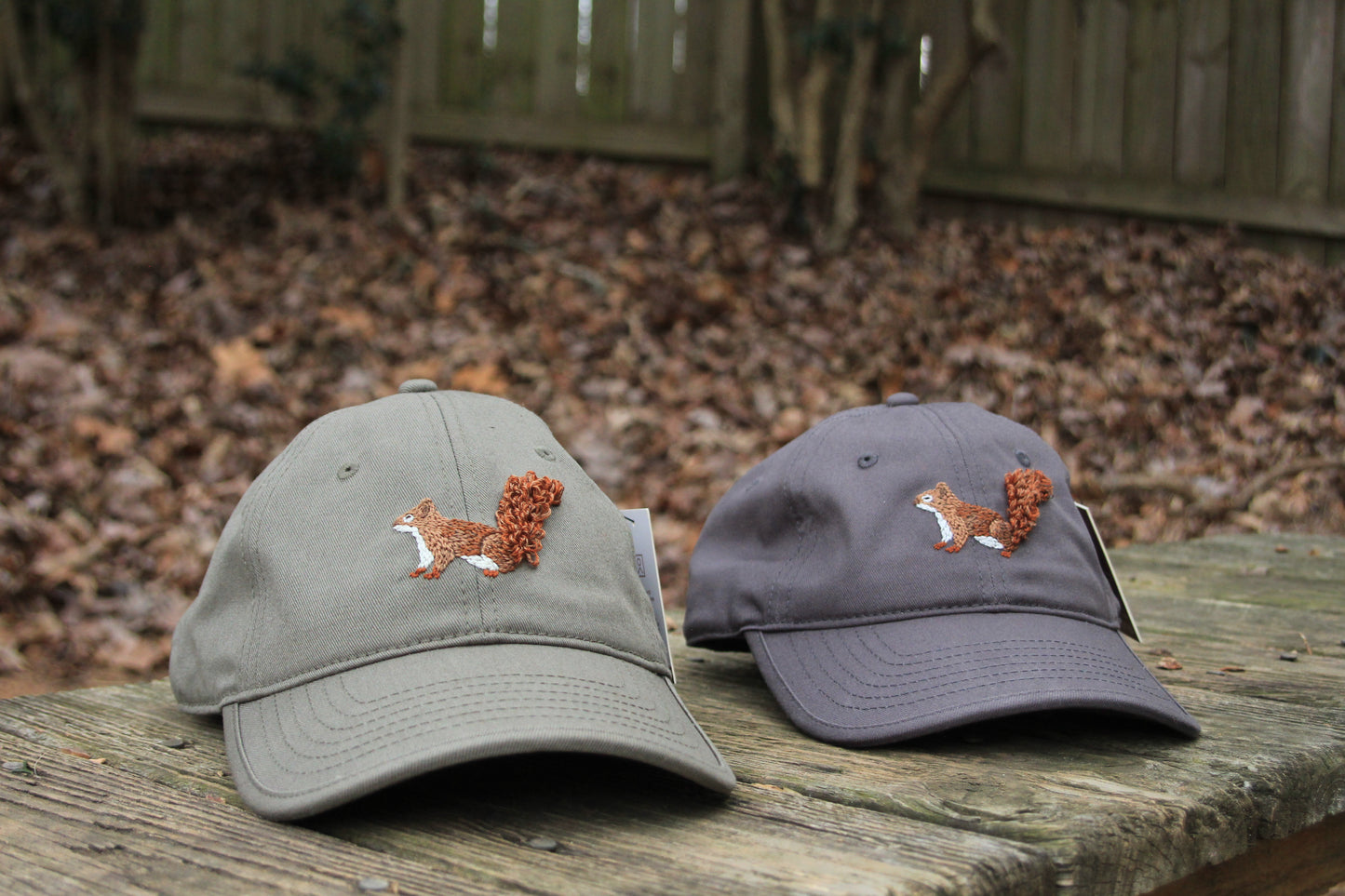 Red Squirrel Dad Hat (Slate)