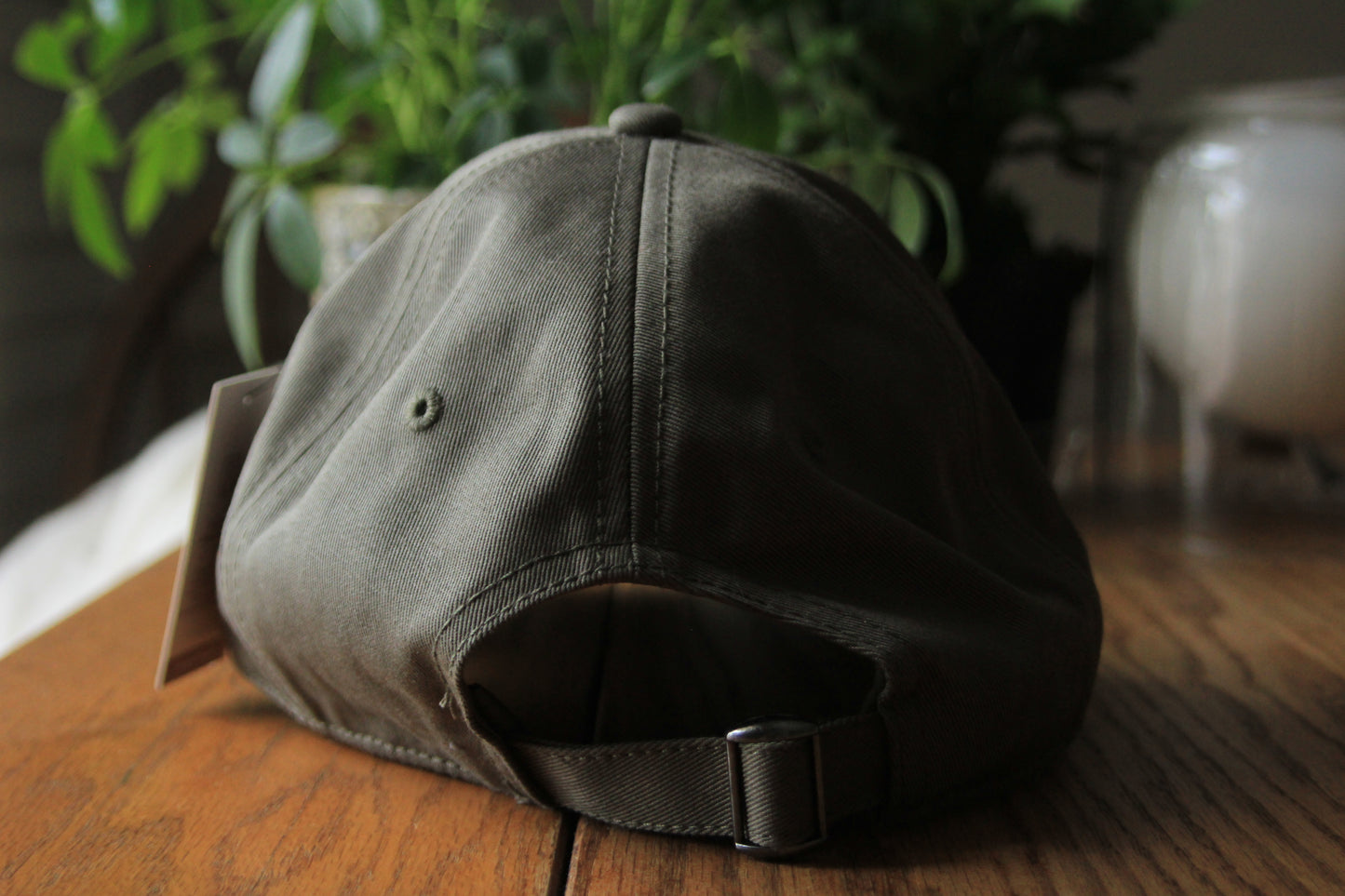 Red Squirrel Dad Hat (Sage)