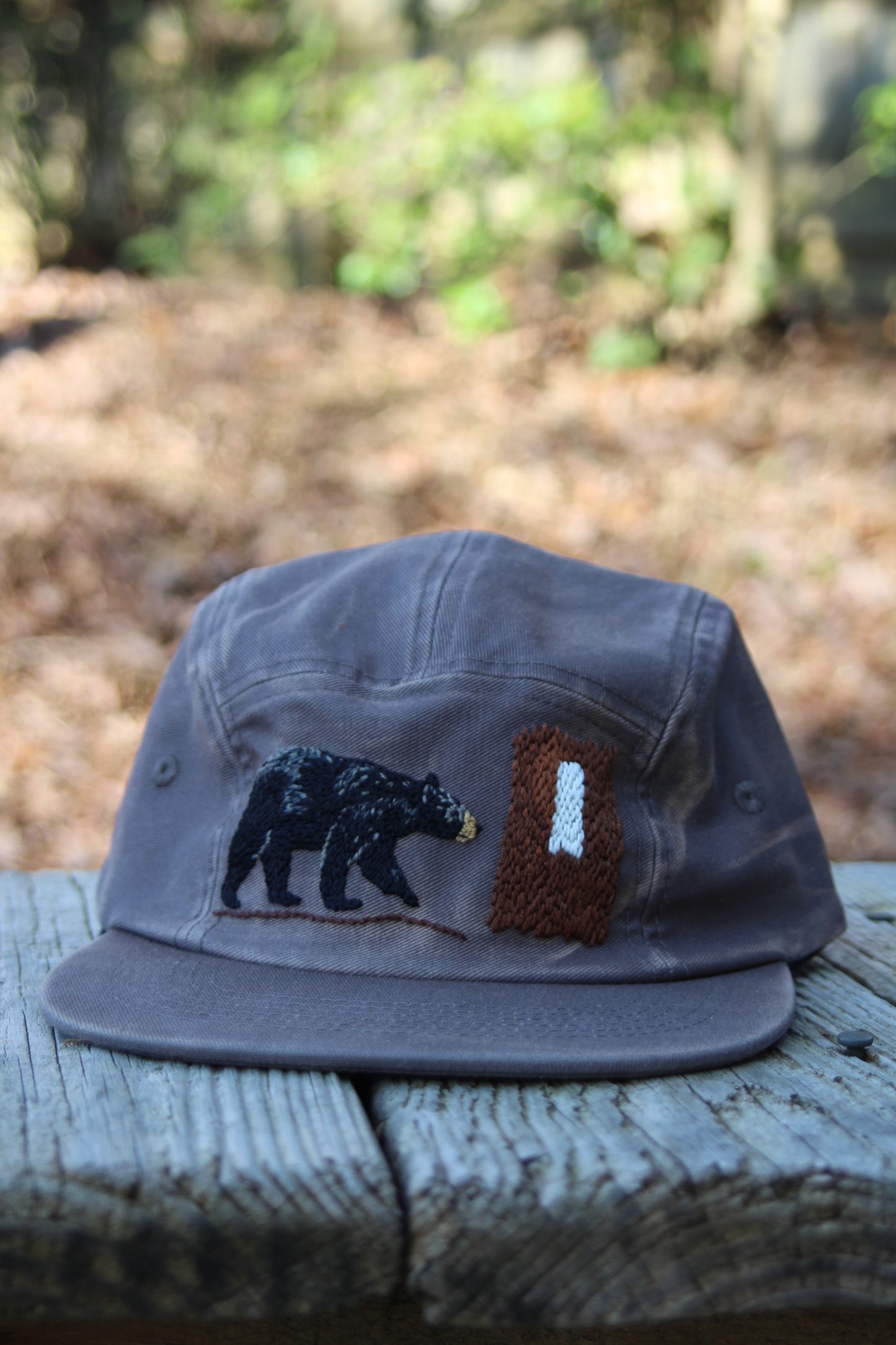 Black Bear on the Appalachian Trail